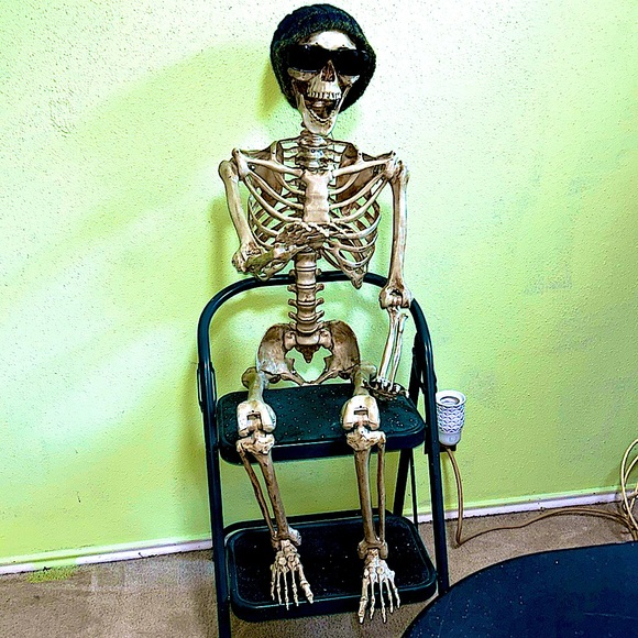 Meet your Posher, Robin & her helper Shelly Tone the skeleton. - Picture 4 of 8